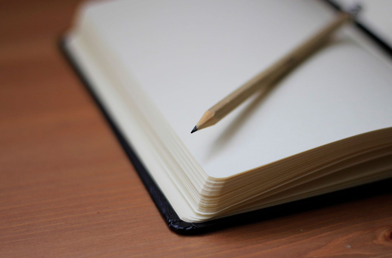 Lengua Florida® - Talleres